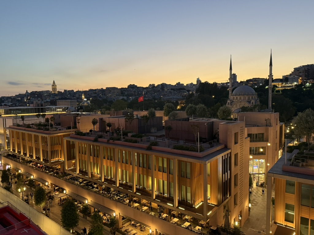 Istanbul illuminated at dusk with mosque domes and minarets