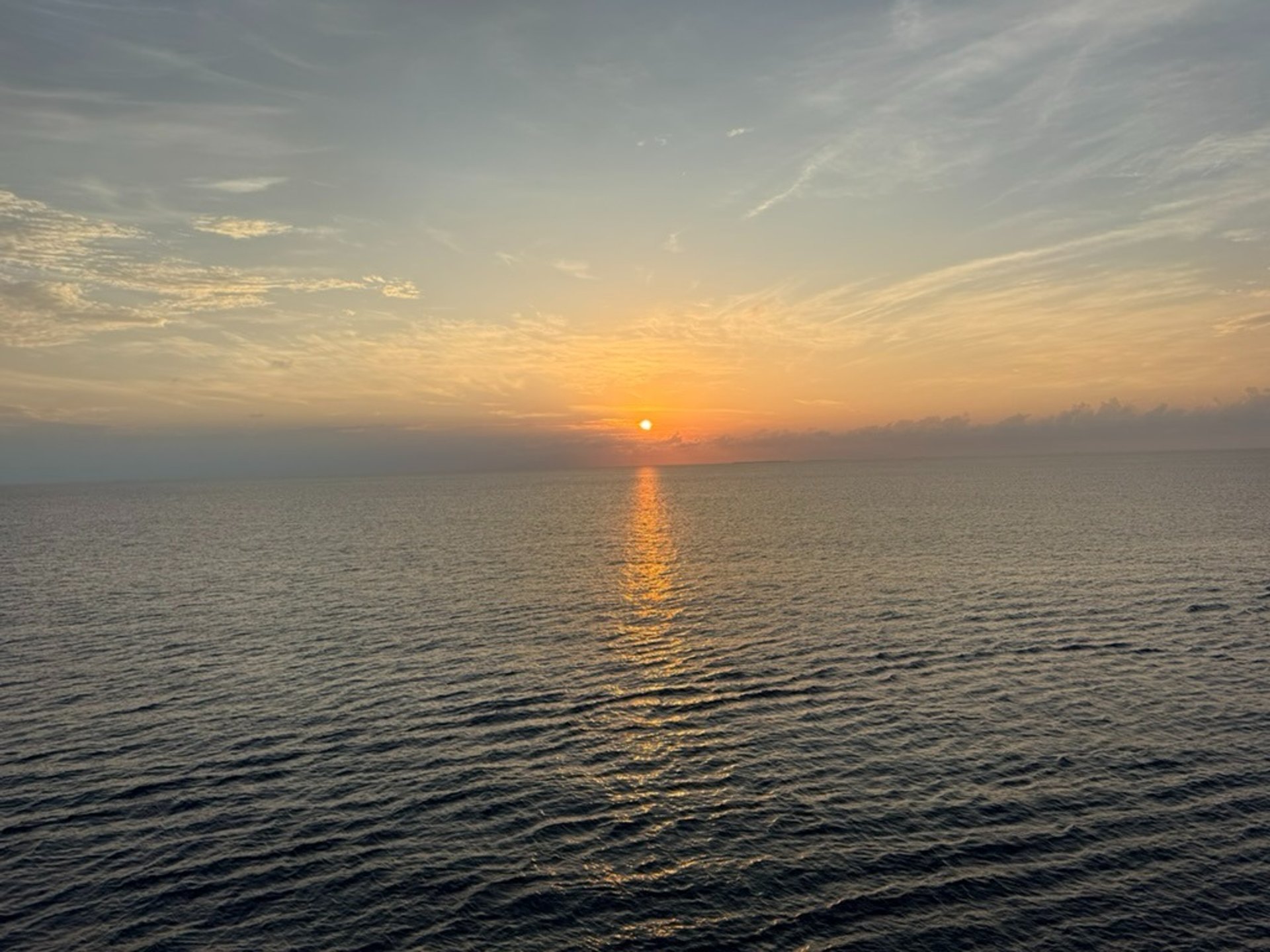 woman wearing blue dress shirt and white short shorts walking on seashore
